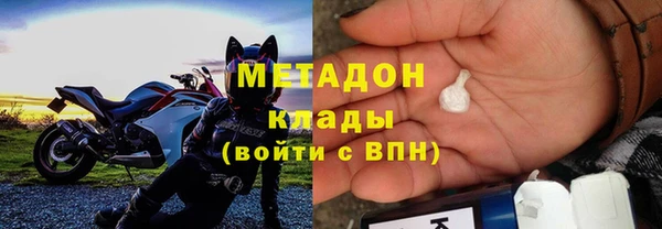 ГАЛЛЮЦИНОГЕННЫЕ ГРИБЫ Богданович