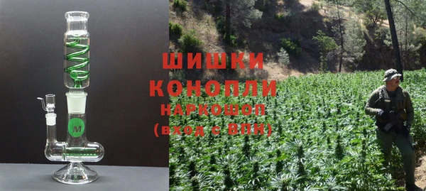 соль ск Белокуриха