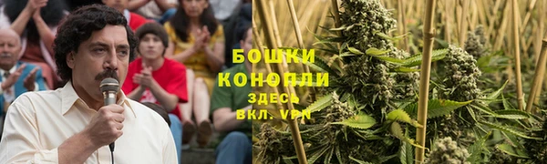 соль ск Белокуриха