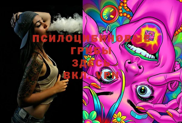 молекула духа Белоозёрский