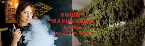 молекула духа Белоозёрский